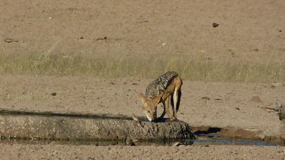 k-P1290643.JPG