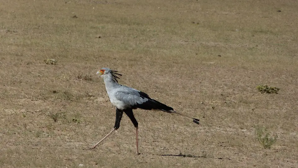 k-P1290678.JPG