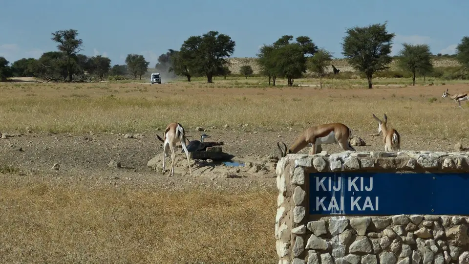 k-P1290984.JPG