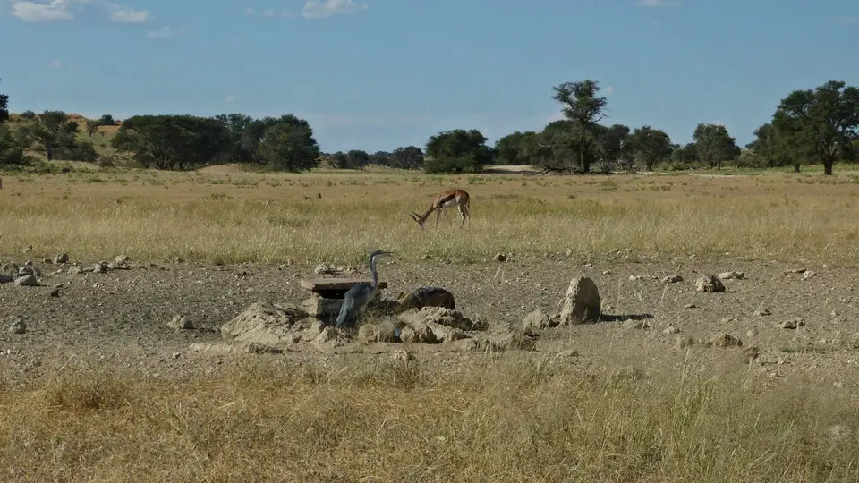k-P1290986.JPG