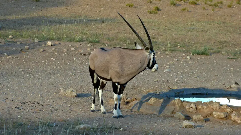 k-P1300006.JPG