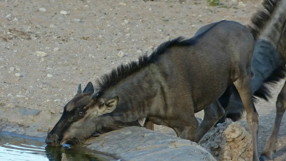 k-P1300008.JPG
