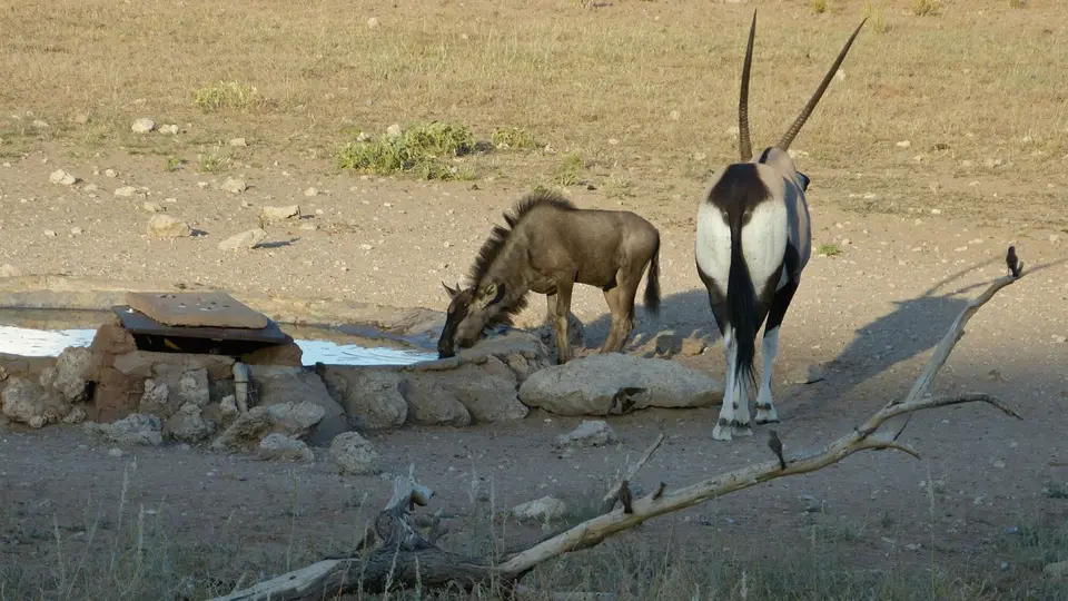 k-P1300011.JPG