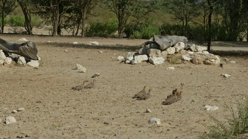 k-P1300241.JPG