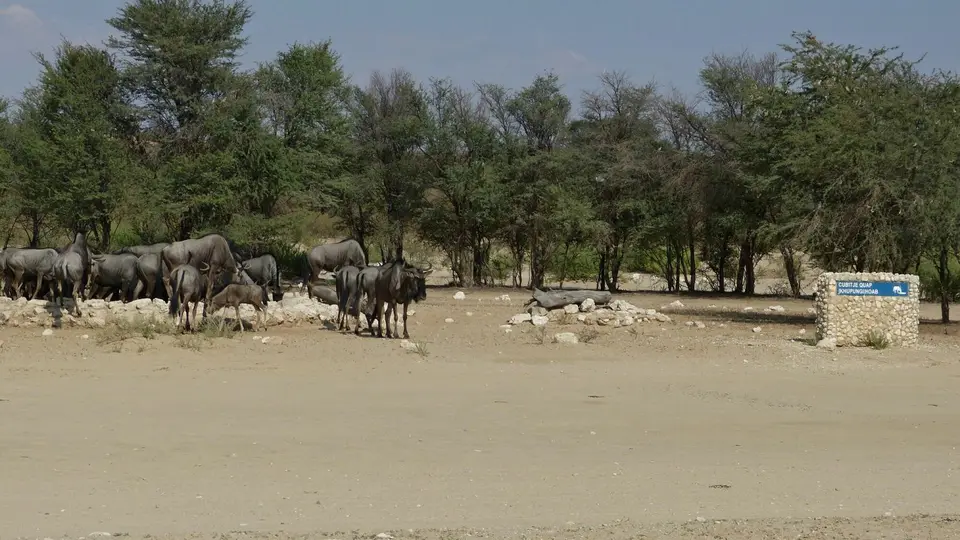 k-P1300262.JPG