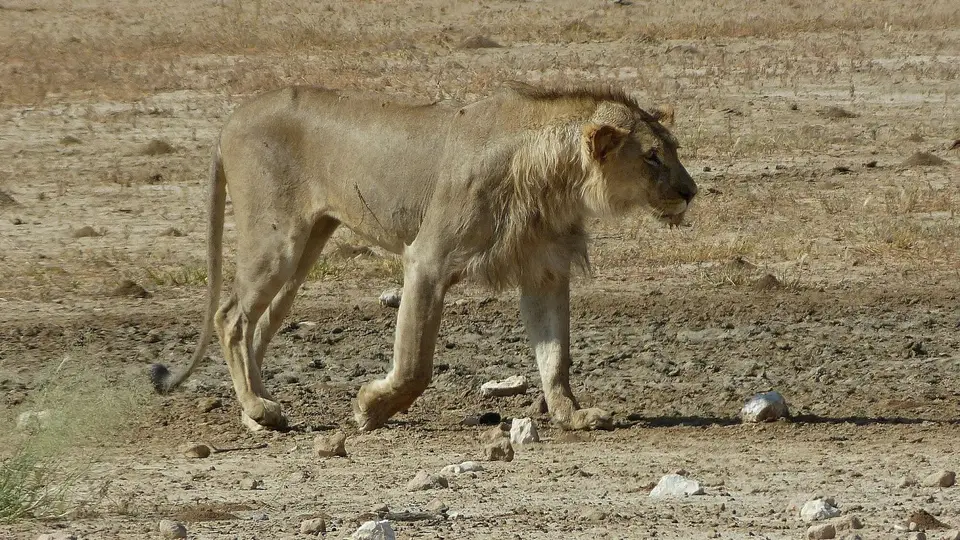 k-P1300346.JPG