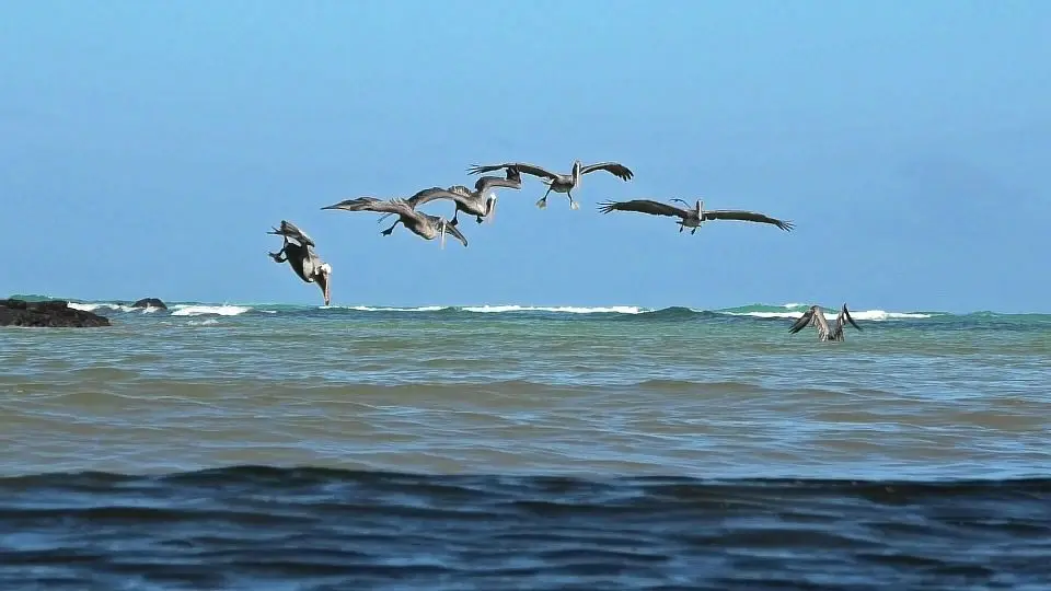 k-S2060071_Moment.jpg
