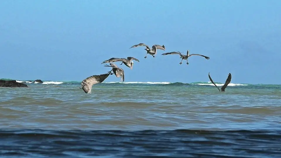 k-S2060071_Moment2.jpg