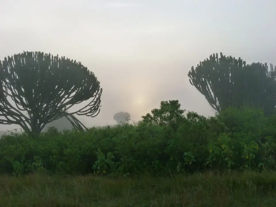 P1000448.JPG