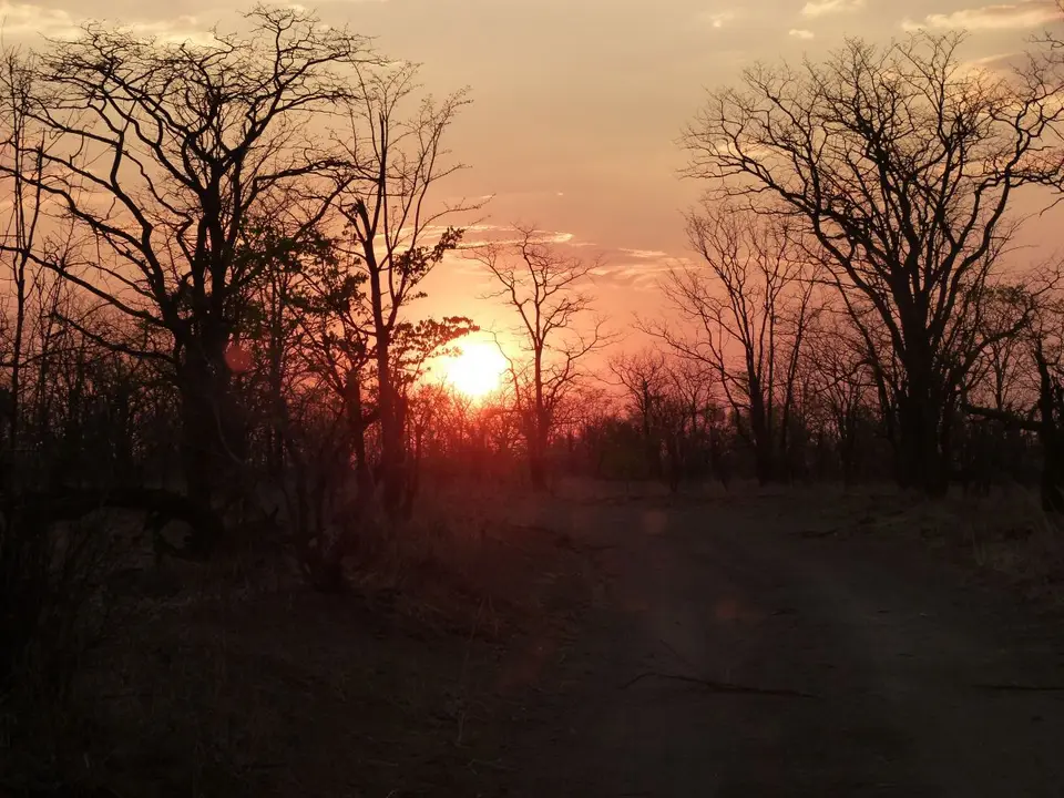 P1020230.JPG