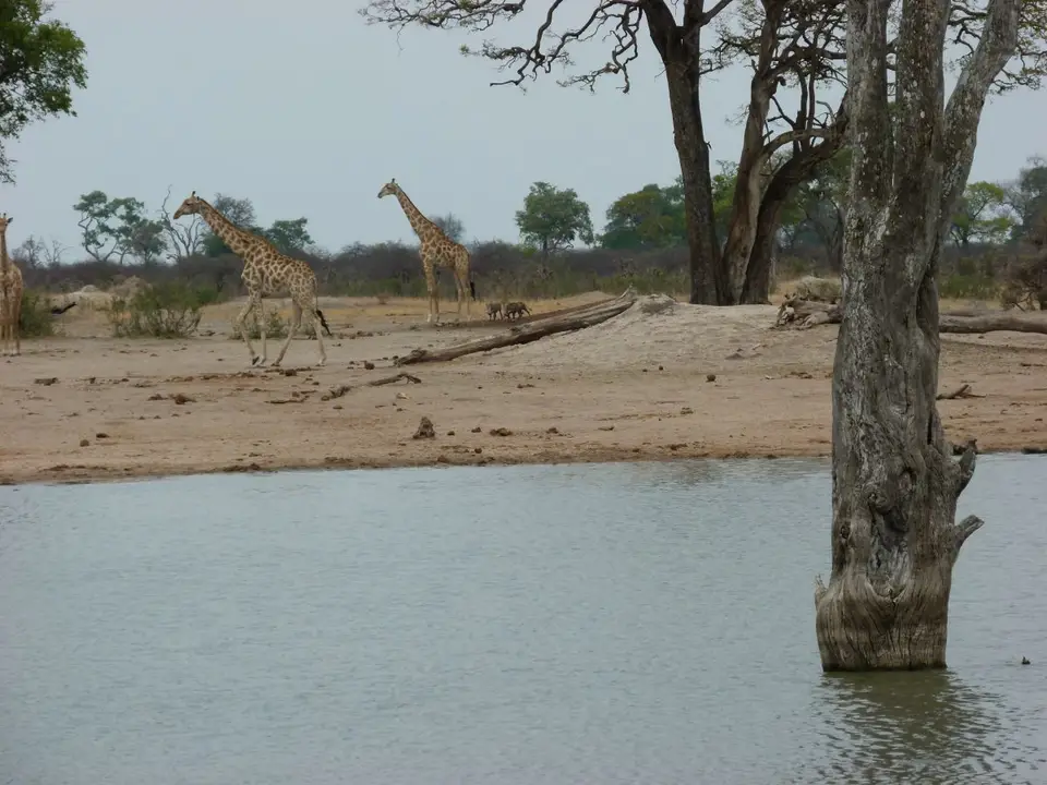 P1020345.JPG