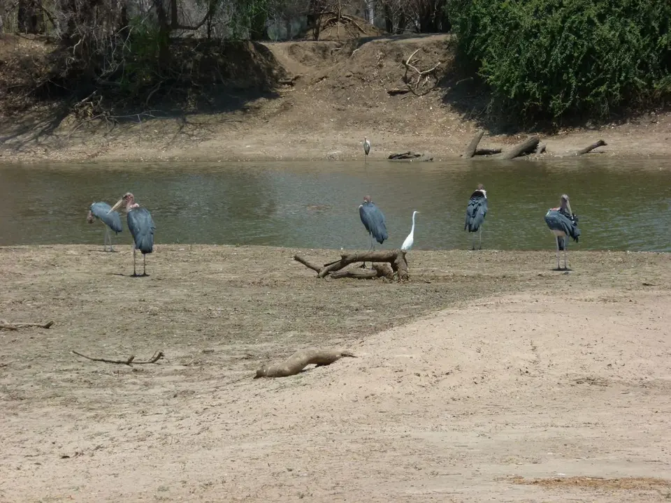 P1020418.JPG