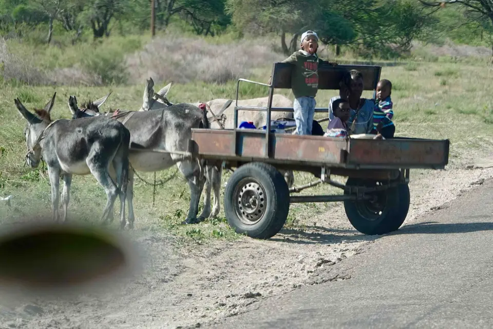DSC00956.jpg
