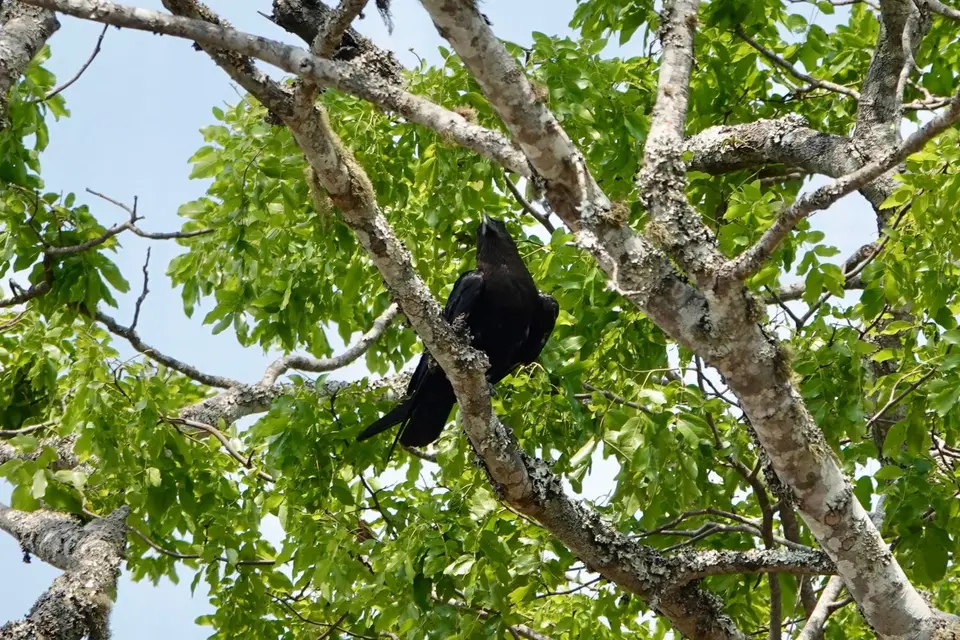DSC03379.jpg