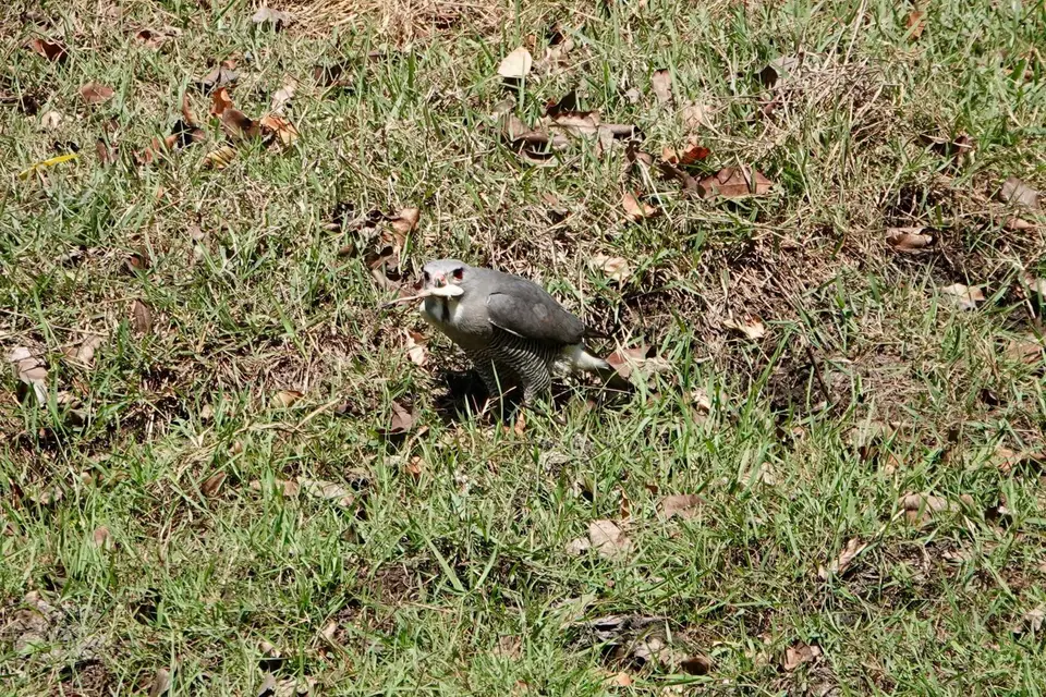 DSC04000.jpg