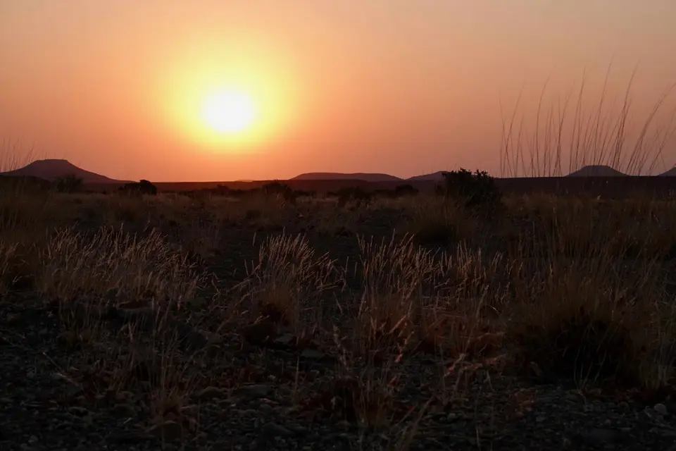 DSC06310.jpg