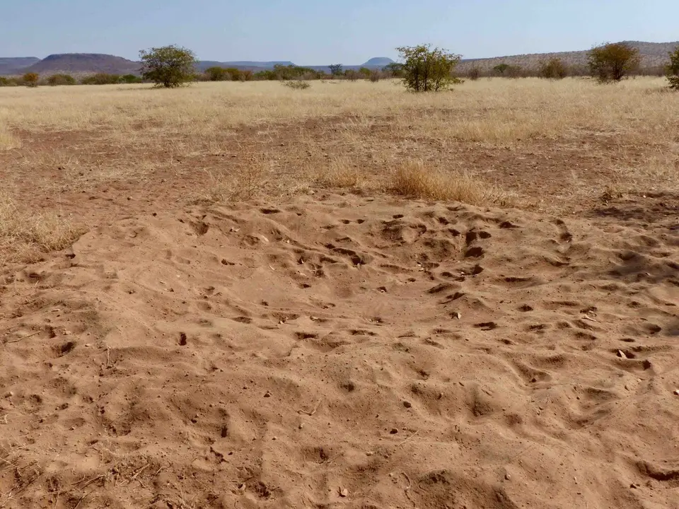 P1170559.jpg