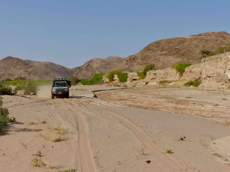 P1170755.jpg