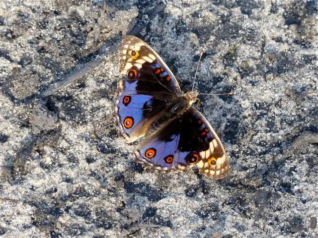 h2ef3cb7.jpg