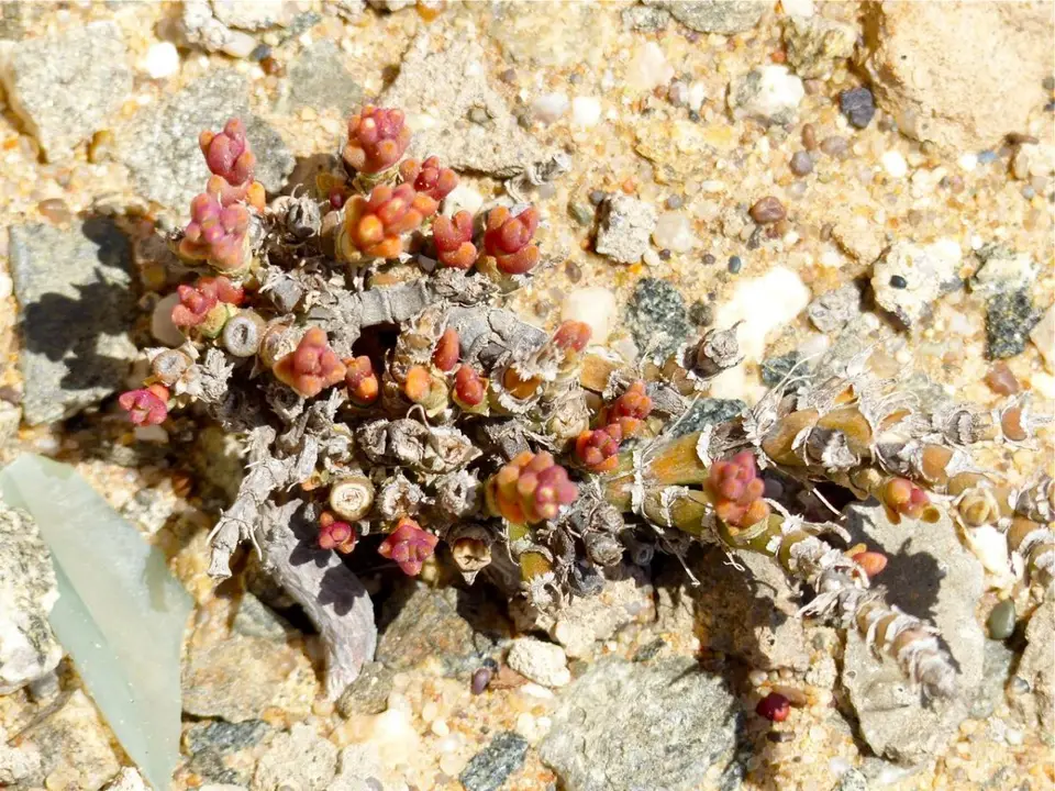 h315e9d6.jpg