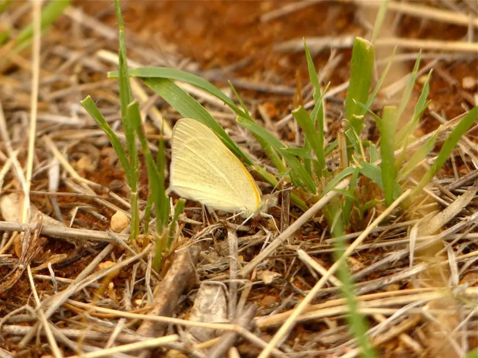 h37fd331.jpg
