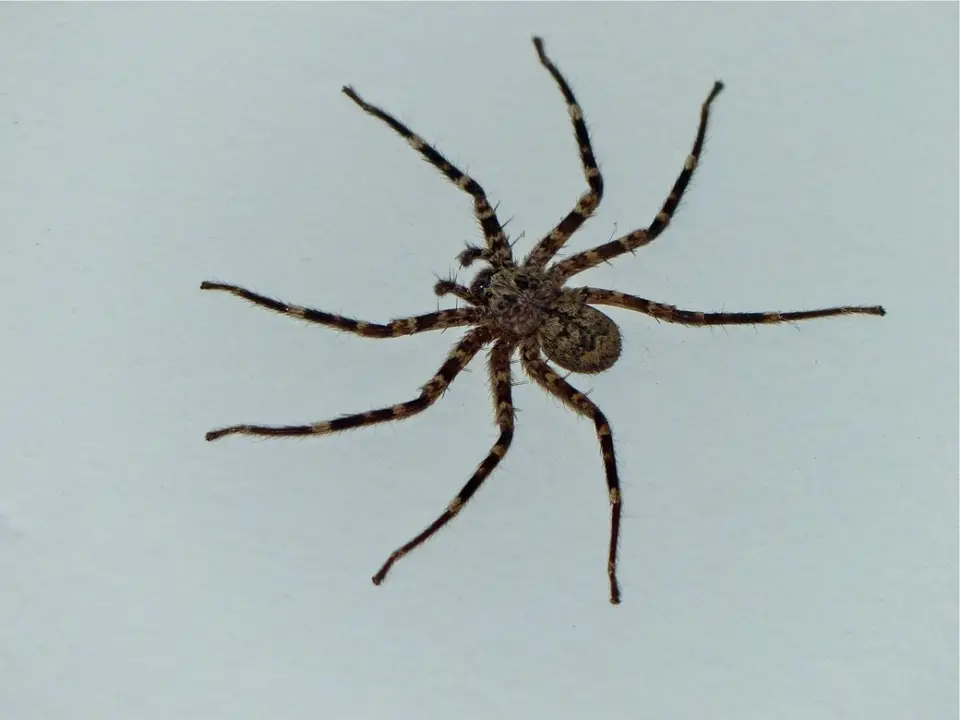 h5ad486f.jpg
