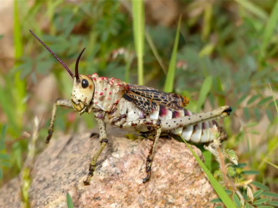 h72cc3a2.jpg