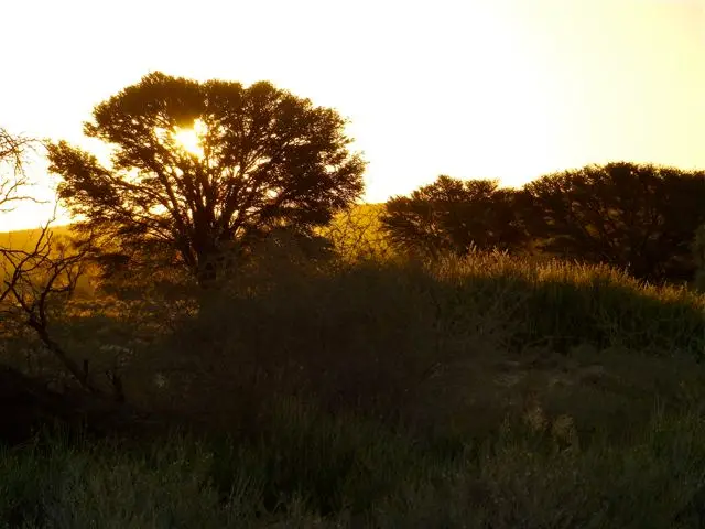 hb024ac9.jpg