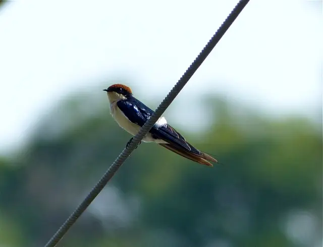 hd8a68b7.jpg