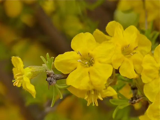 hf94ddfc.jpg