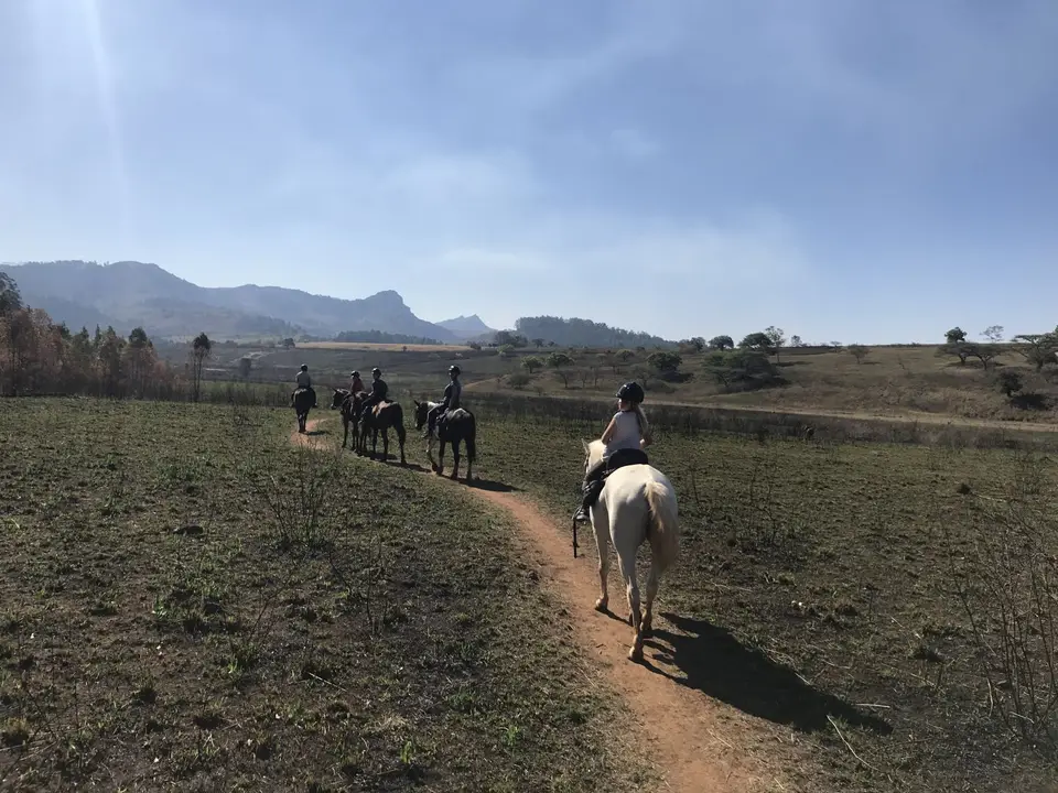 10_2019_08ZimSASwasi_9132.JPG