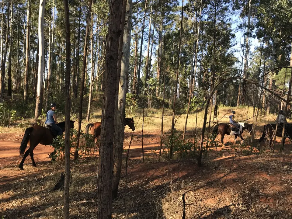 11_2019_08ZimSASwasi_9204.JPG