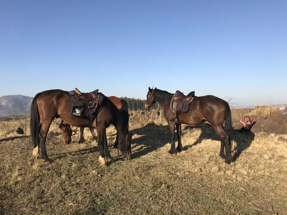 12_2019_08ZimSASwasi_9212.JPG