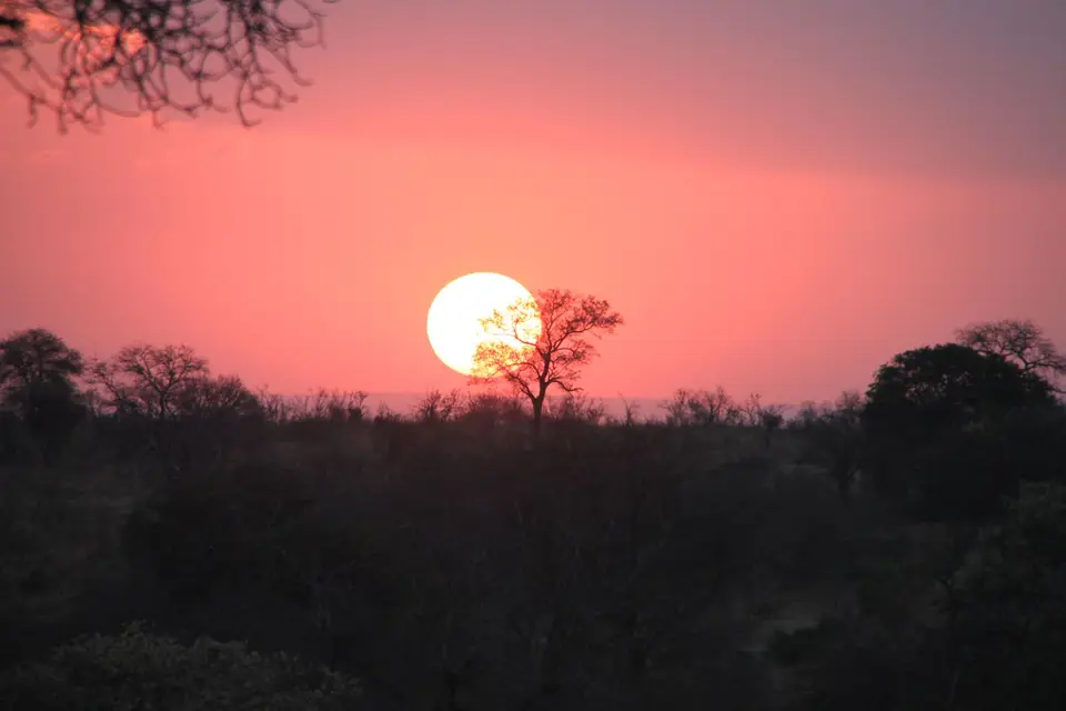2019_08Zim:SA:Swasi_8470.JPG