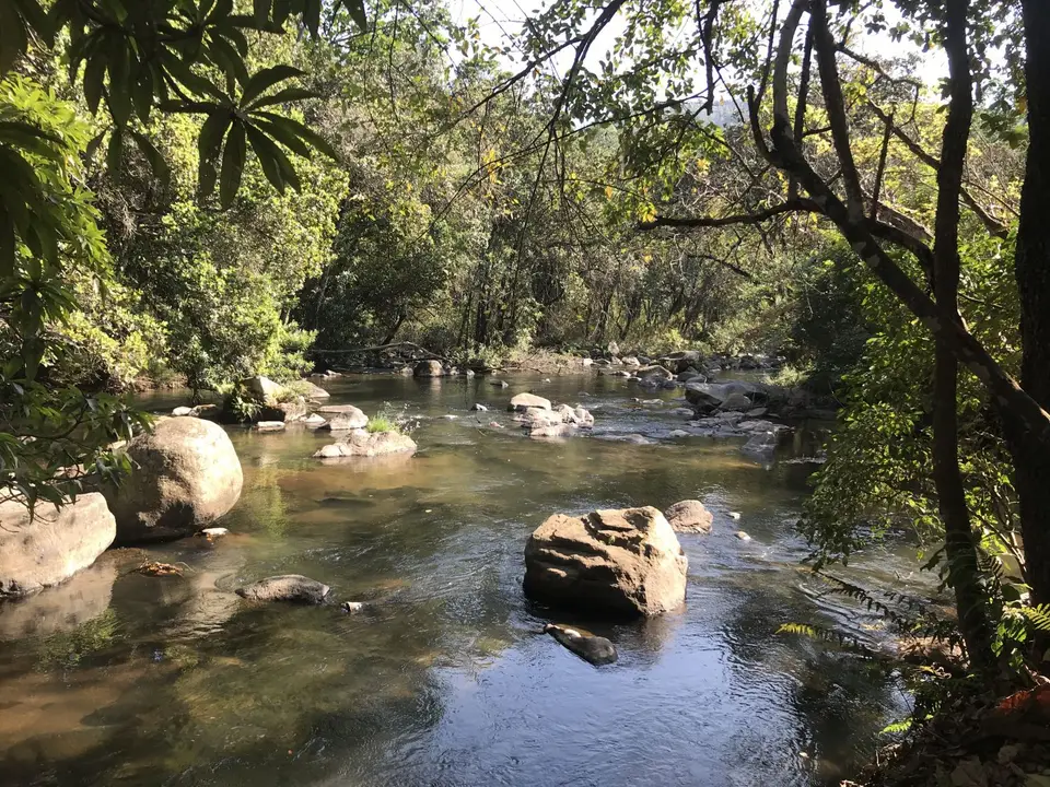2019_08Zim:SA:Swasi_8554.JPG