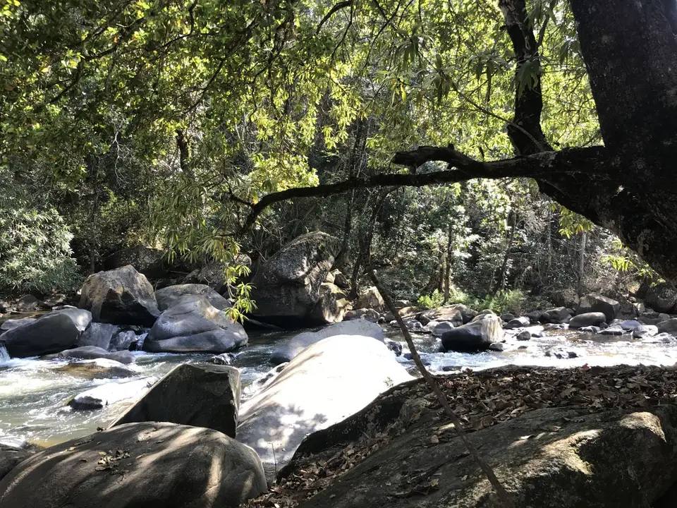 2019_08Zim:SA:Swasi_8561.JPG