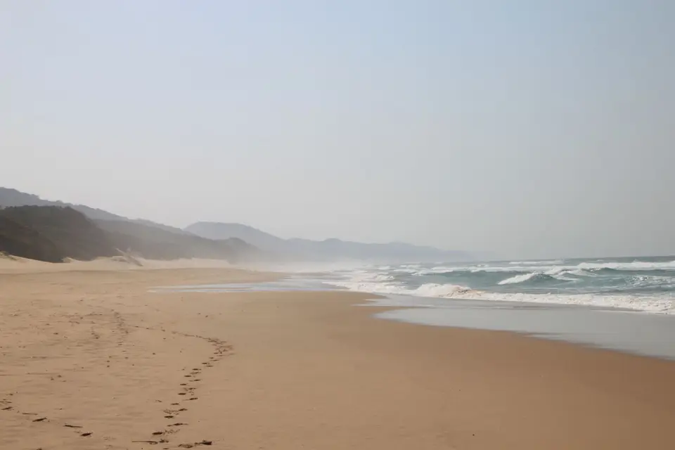 2019_08Zim:SA:Swasi_87631.JPG
