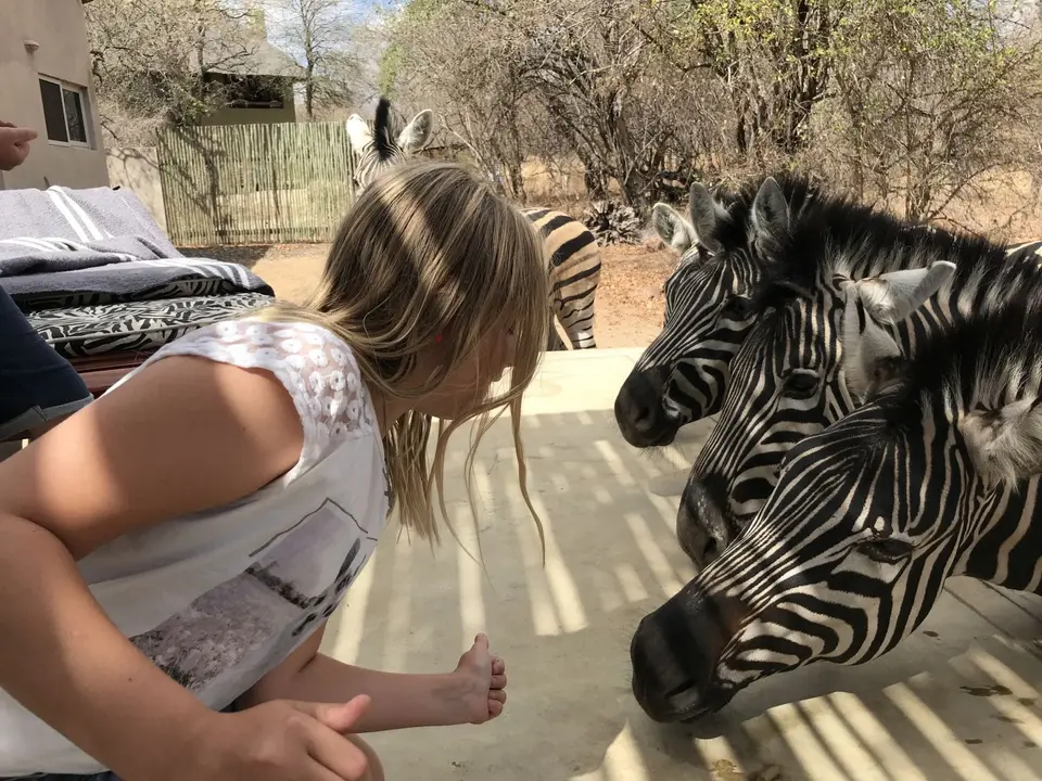 2019_08Zim:SA:Swasi_8909.JPG