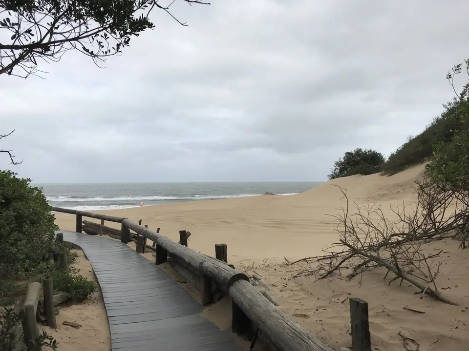2019_08Zim:SA:Swasi_9638.JPG
