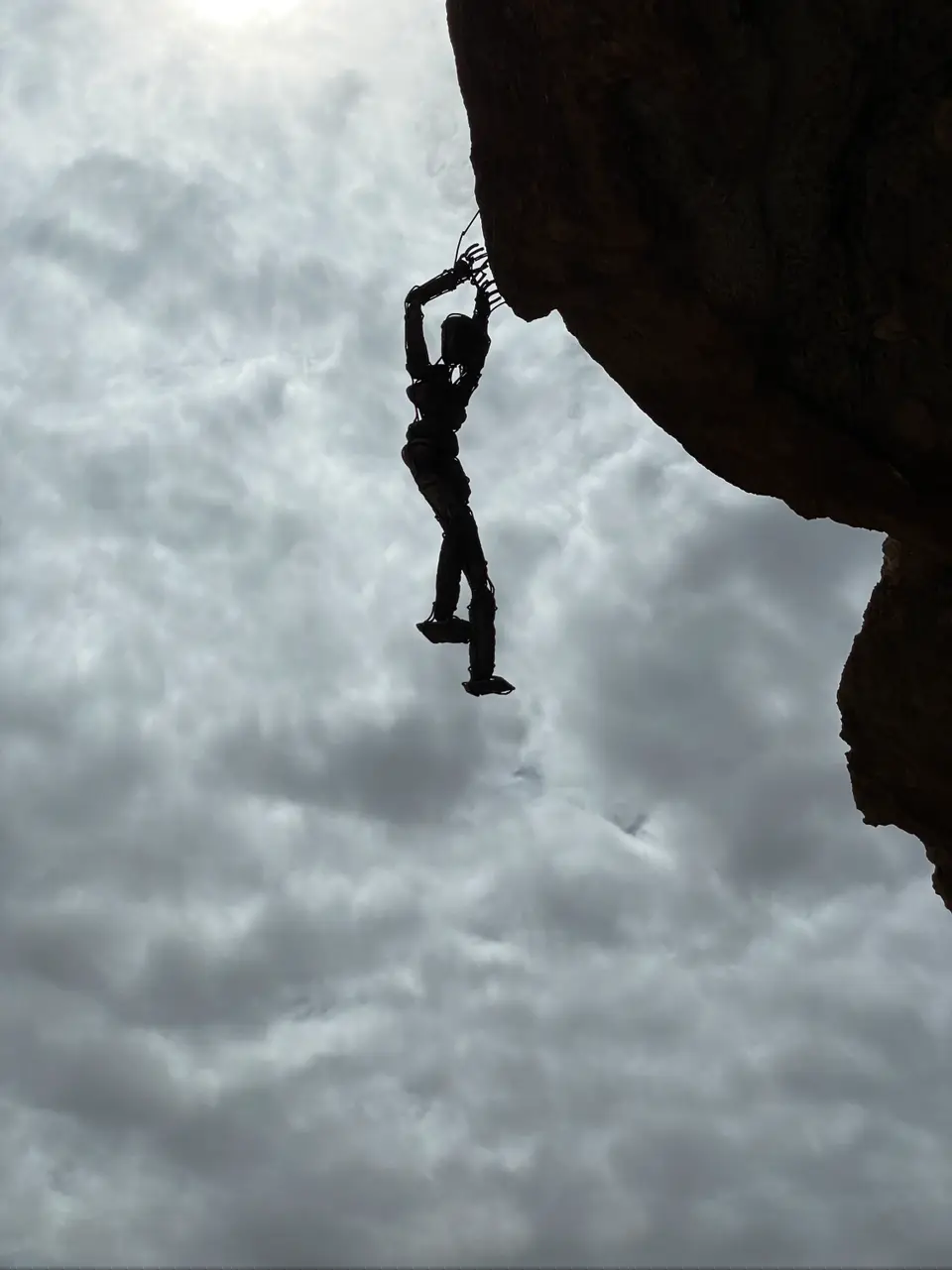 IMG_0258.png