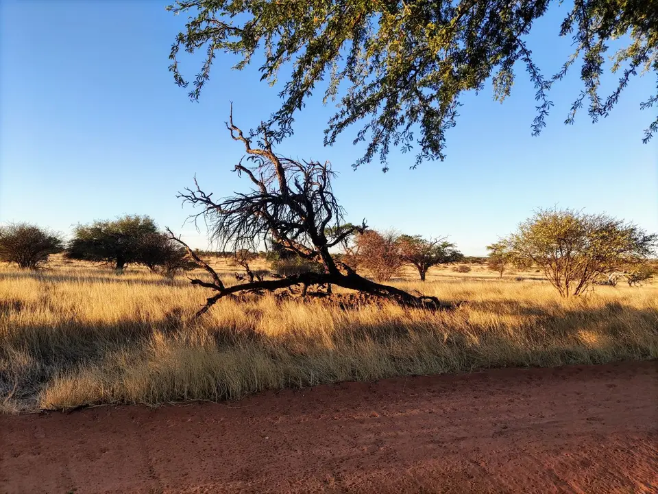 Namibia(1).jpg