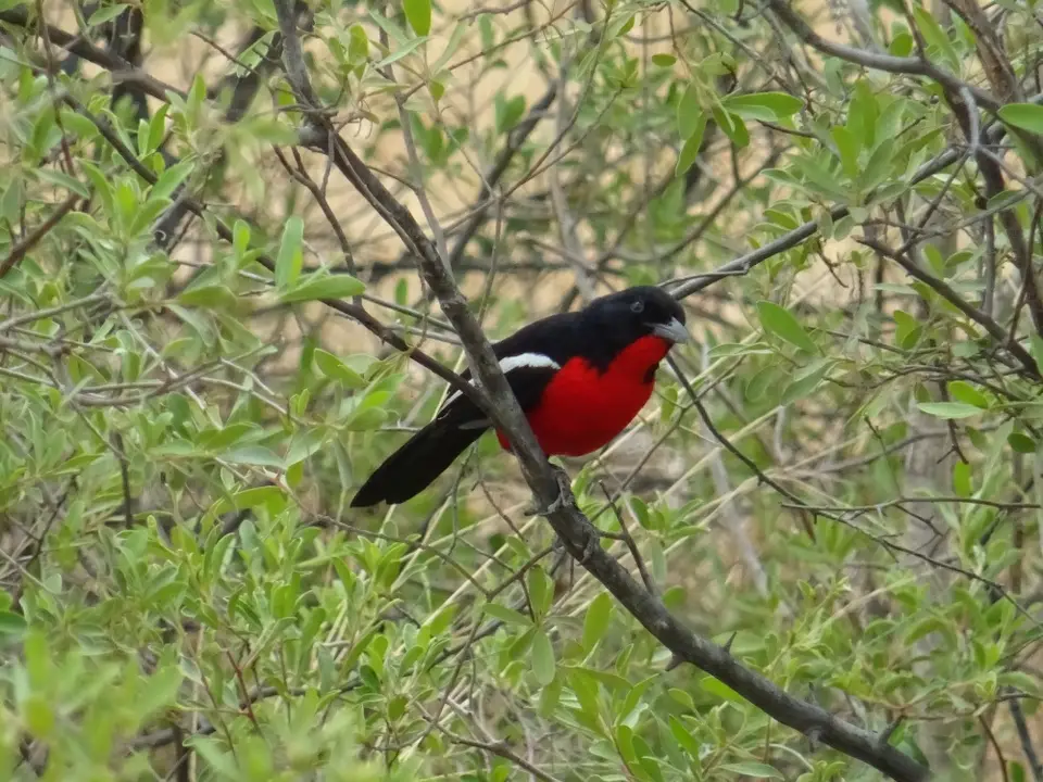 Namibia(10)-2-3-4-5-6-7-8-9-10.JPG