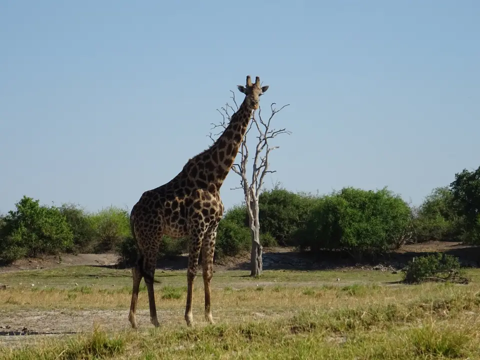 Namibia(14260).JPG