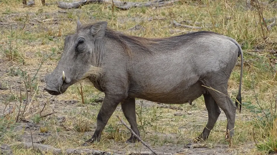 Namibia(2)-2-3-4-5-6-7-8-9-10-11.JPG