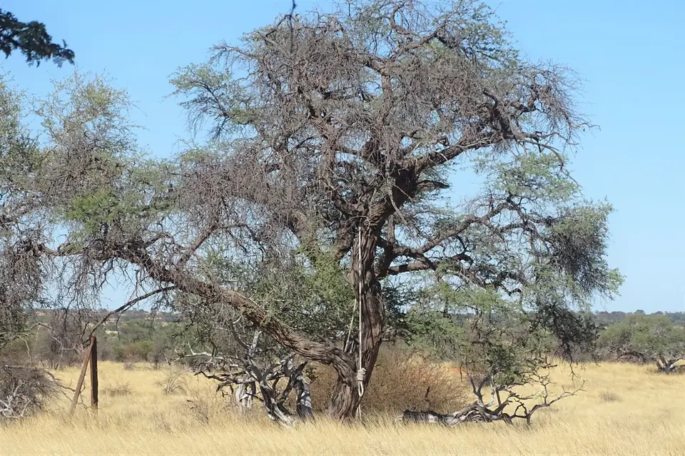 Namibia(3).JPG
