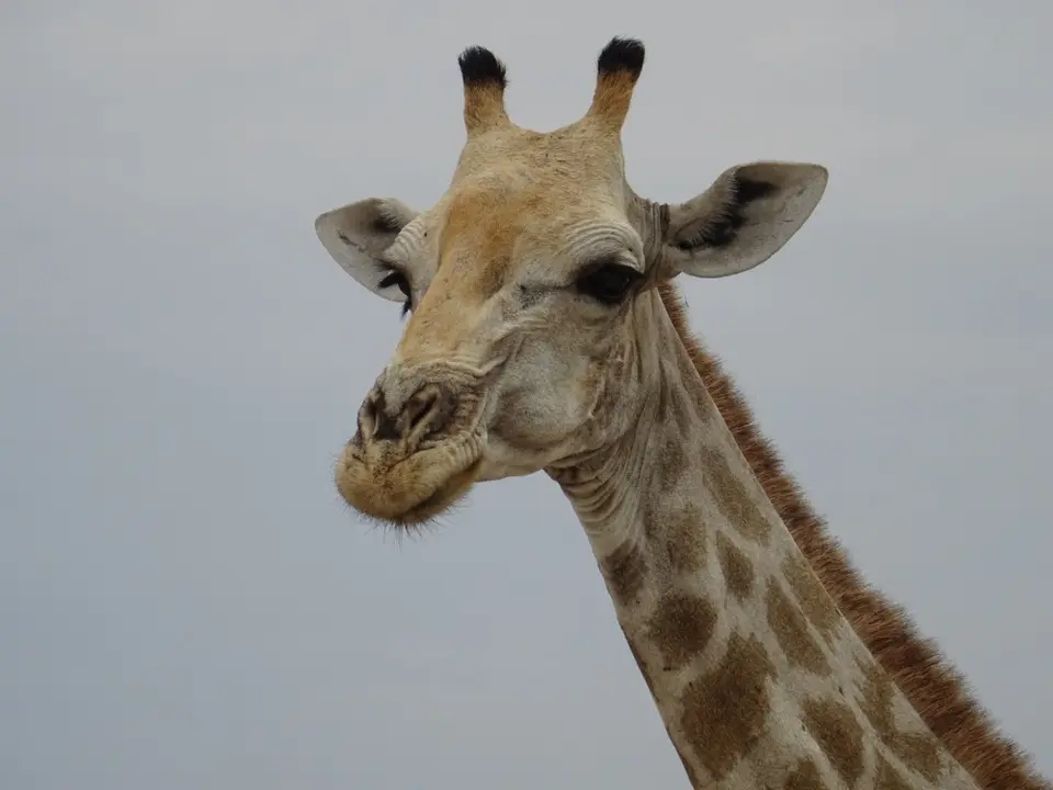 Namibia(48).JPG