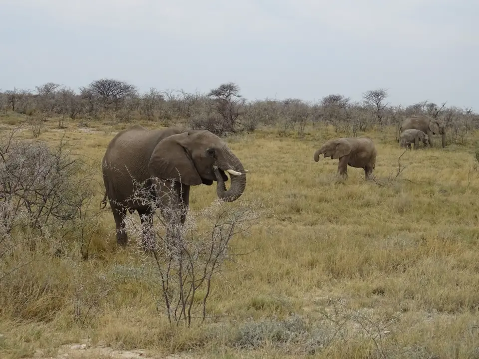 Namibia(51).JPG