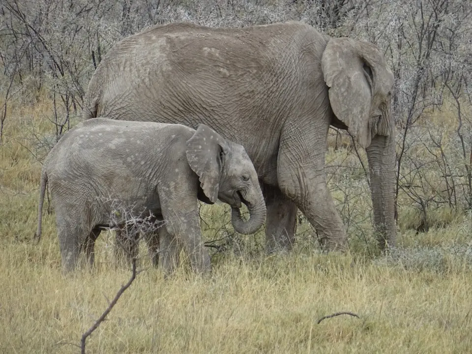 Namibia(53).JPG