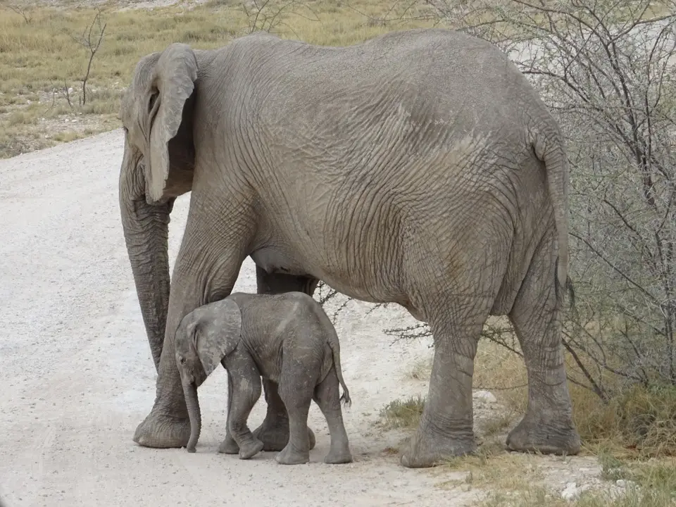 Namibia(55).JPG