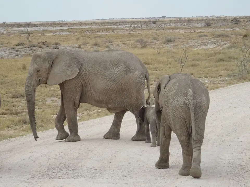 Namibia(56).JPG